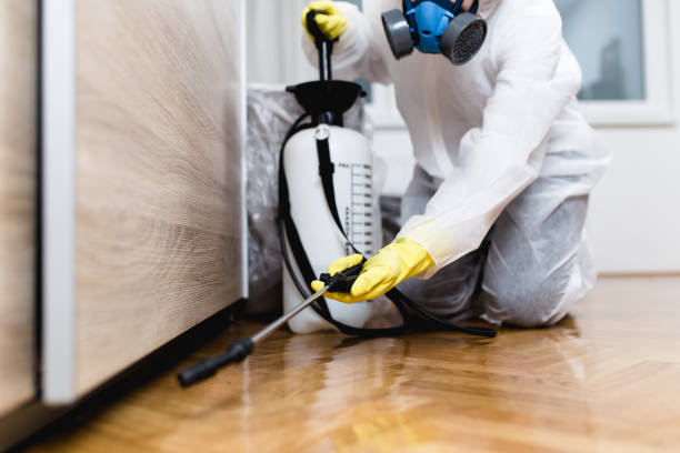 Best Wildlife Control Services  in King, WI