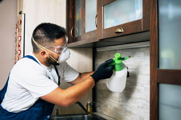 Best Emergency Pest Control  in King, WI