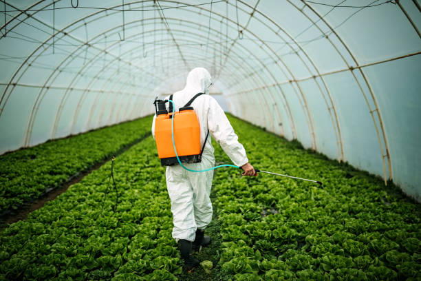Best Affordable Pest Control Services  in King, WI