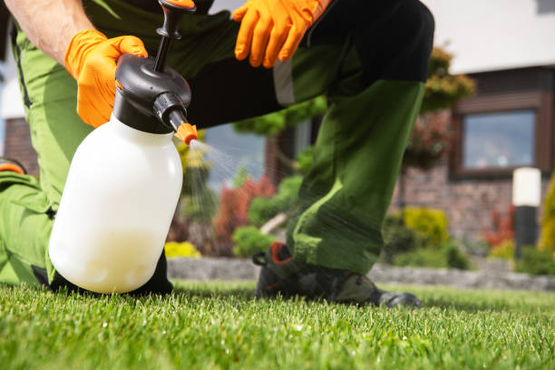 Best Bird Control  in King, WI