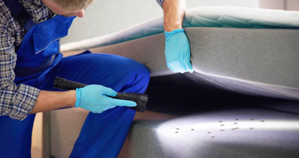 Best Pest Control Near Me  in King, WI