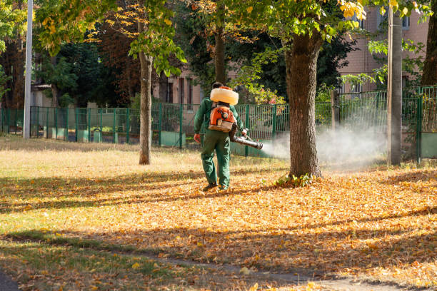 Pest Control for Restaurants in King, WI